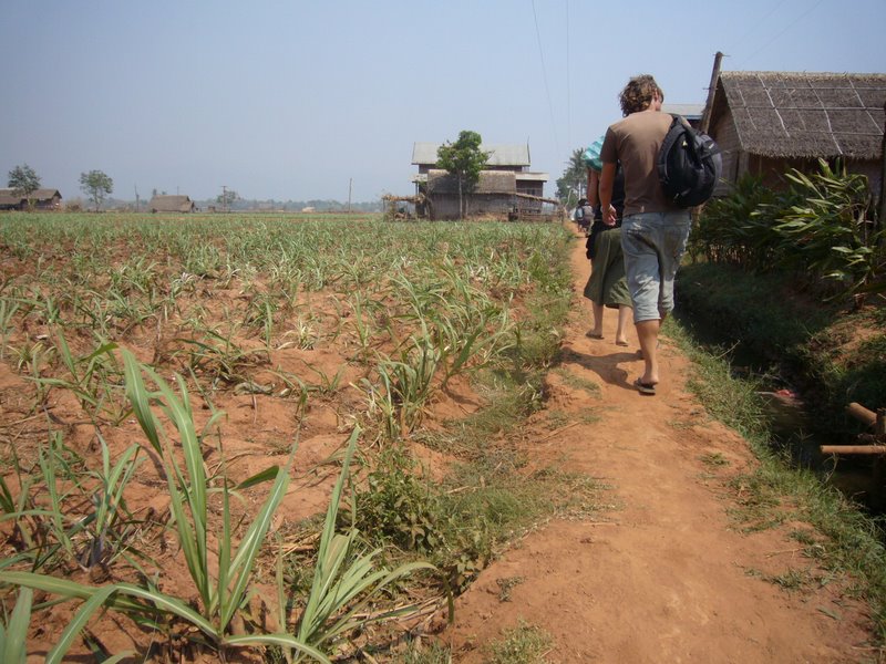 Travel - Myanmar - Inle Lake - Second Boat Trip - Back to The Boat